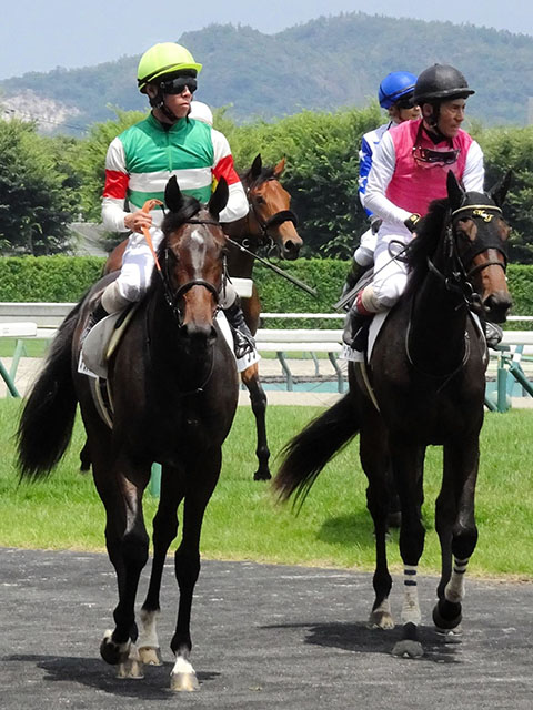 【新馬戦】アランカール　圧倒人気で完勝　母は１６年オークス馬シンハライト　北村友は今後の成長に期待「伸びしろはある」