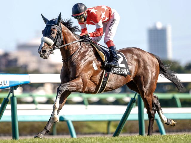 【先週のJRA抹消馬】芝中距離で4勝のレッドランメルト、昨年の小倉SJ覇者ロスコフなど