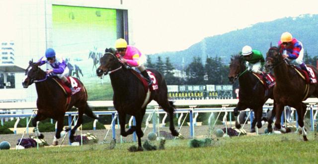 99年京都記念優勝馬　エモシオン死す　30歳　通算21戦5勝(重賞1勝)