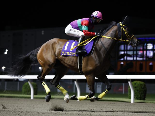 【川崎・スパーキングレディーC枠順】重賞連勝中のテンカジョウは8枠9番