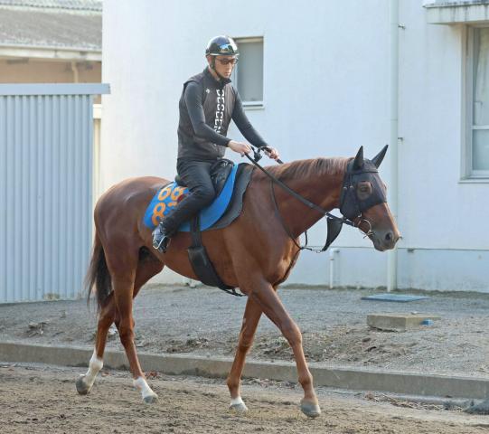 【七夕賞】コスモフリーゲンが重賞初挑戦Vへ　畠山調教師「この馬で勝負していきたい」