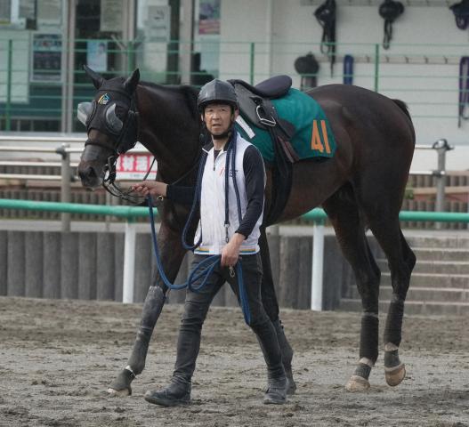 【福島新馬戦】ガードオブオナー　父サトノダイヤモンドそっくり!?　林師「これから成長していく馬」
