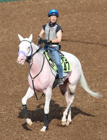【函館新馬戦】ソダシ半妹マルガ“新白毛伝説”第一歩　武豊も好感触「乗り味凄く良かった」