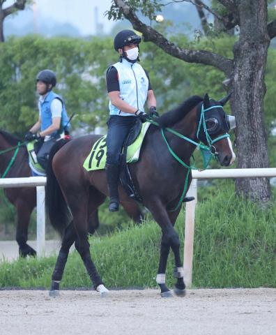 【小倉新馬戦】フランケル産駒の“大物候補”クールフラン　池添師「体形的にマイル以上」