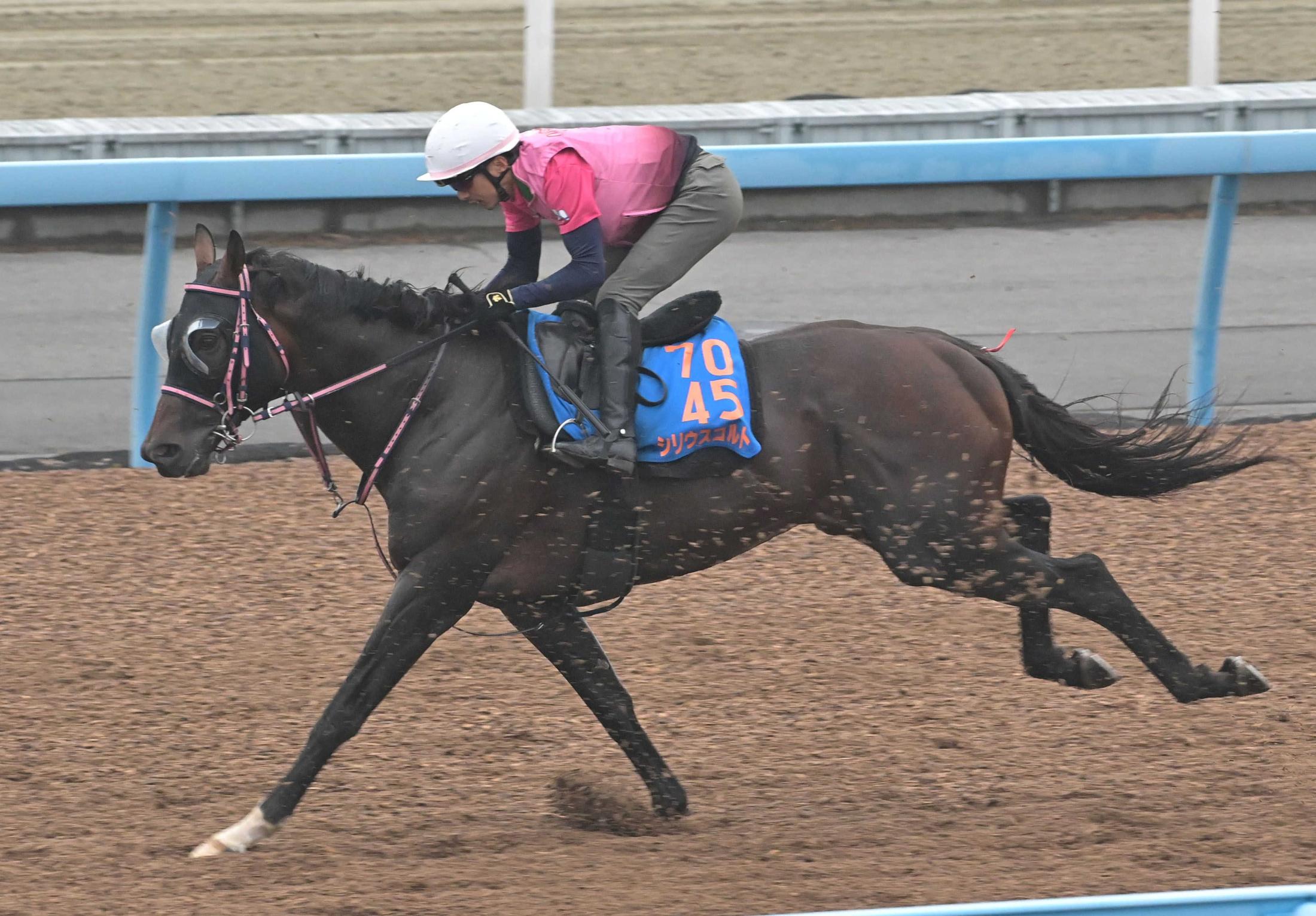 【七夕賞】シリウスコルト　３連勝へ突き進む　完全本格化告げた４歳馬が重賞連勝へ　データ唯一の減点１