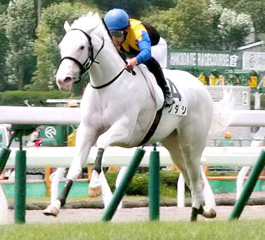 【2歳新馬戦】“白毛姉妹”手がける須貝調教師「動きが軽いね。ソダシより性格が穏やか」　ソダシの半妹マルガが12日デビュー　