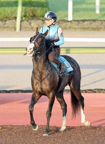 【七夕賞】マテンロウオリオンはこの中間も元気いっぱい　陣営「展開の助けがほしいですね」