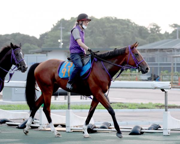 【七夕賞】バラジがリステッド2着の舞台で一変狙う　鹿戸調教師「福島は合う」
