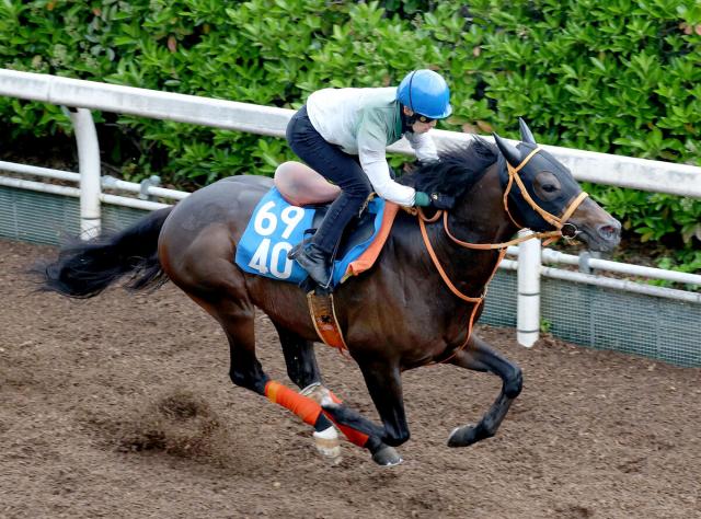 【巴賞】ケイアイセナは洋芝への対応がカギ　陣営「スピードだけではなく力強さも感じます」