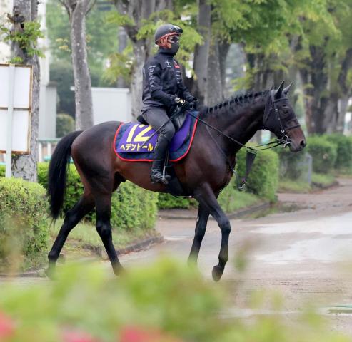 ヘデントールが英G1インターナショナルSの出走を断念　右後肢の大腿骨剥離骨折が判明