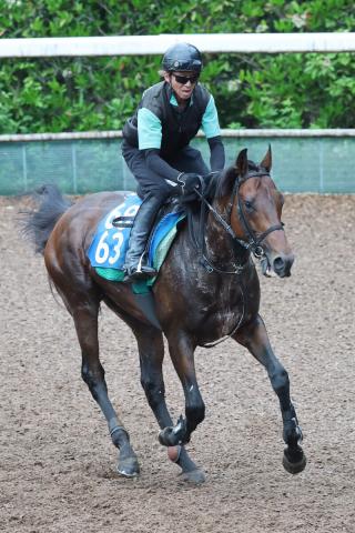 【注目馬動向】しらさぎS勝ちのキープカルムは松山弘平騎手で中京記念　アリスヴェリテは池添謙一騎手でクイーンS