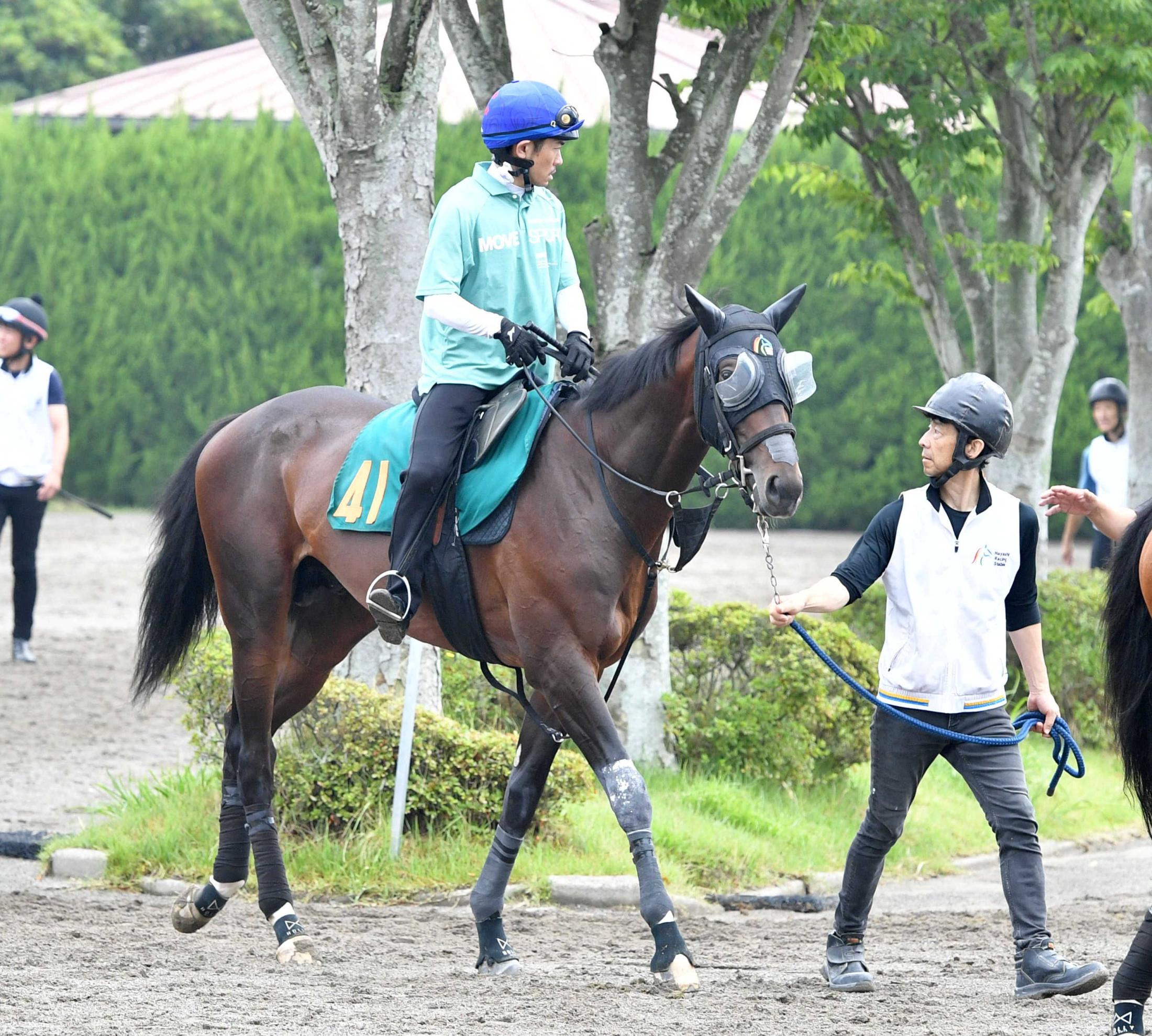 【新馬戦】ガードオブオナー　マイル女王・ソングラインの弟　林師「奥のありそうな馬」