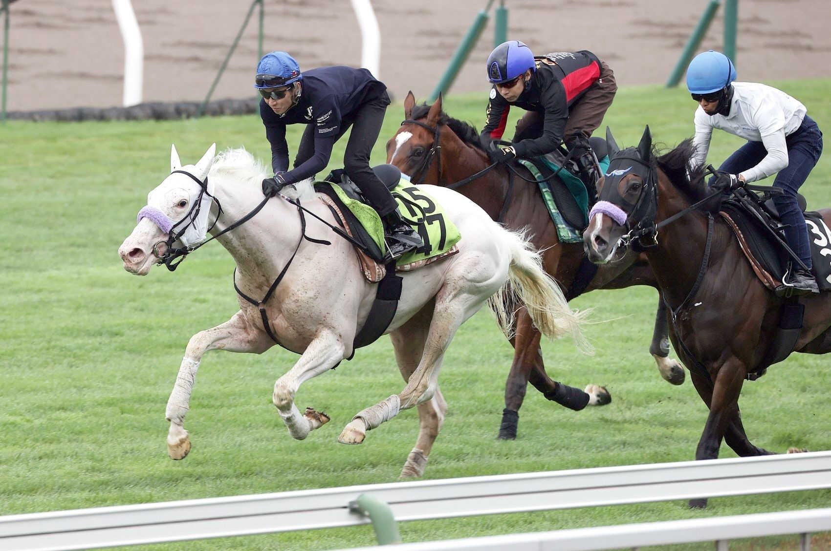 【新馬戦】マルガ　白毛伝説再び　姉・ソダシと同じ７・１２函館でお披露目　武豊「芝っぽい走り」