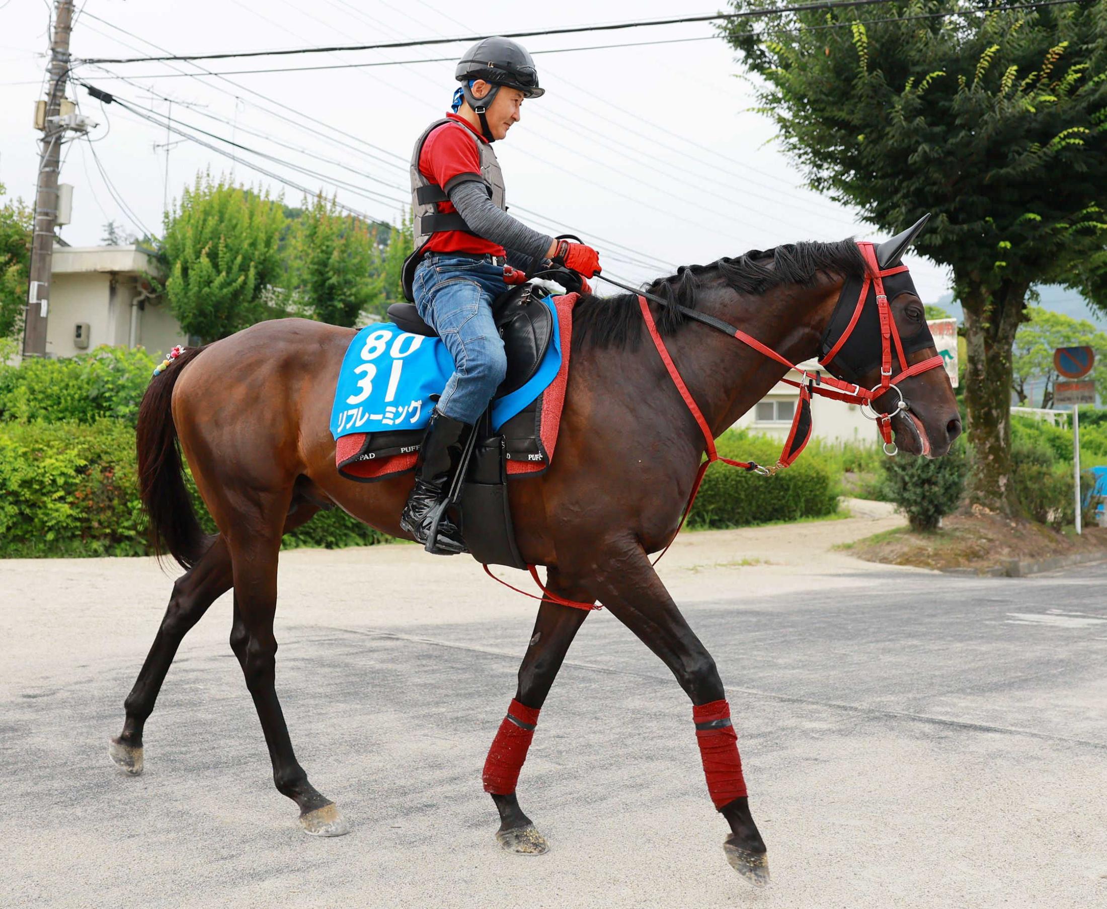 【七夕賞】夏強いリフレーミング　転厩初戦から本領発揮　７歳も活気十分　藤野師「じっくり時間かけられた」