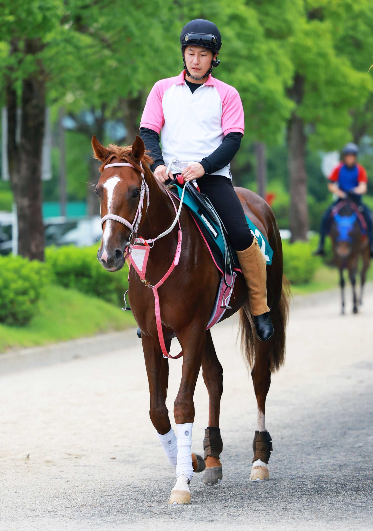 【新馬戦】チェルヴァーラ　半姉はチェルヴィニア　６月宝塚記念デー捻挫で回避も順調　松下師「立ち姿きれい」