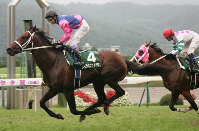 【追憶の七夕賞】06年メイショウカイドウ　「小倉の鬼」がみちのくで躍動　福島競馬場が人であふれた