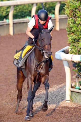 【注目馬動向】北九州記念6着のドロップオブライトはCBC賞、同15着のモズメイメイはアイビスSDで連覇狙う