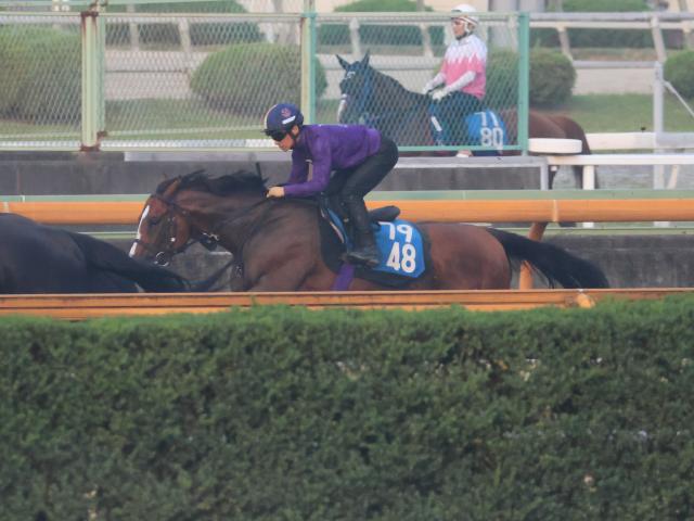 メリオーレム、小倉記念1週前追い切り速報/栗東トレセンニュース