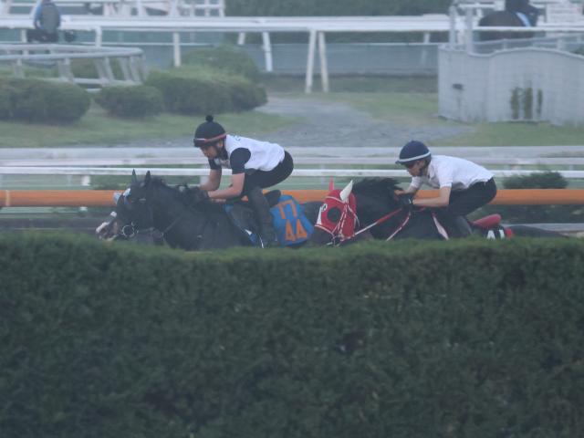 ラスカンブレス、小倉記念1週前追い切り速報/栗東トレセンニュース