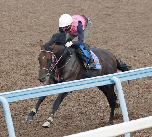 【七夕賞】シリウスコルトはさらに上向きで重賞2連勝へ　追い切りに騎乗した上野翔騎手「前回より全然いい」