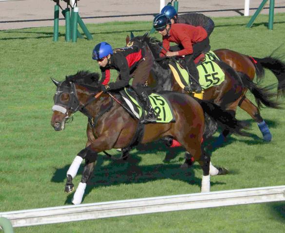 【函館2歳S1週前】46年ぶりに2歳レコード更新のカイショーが力強い伸び　池添謙一騎手「まだ全然余裕があった」