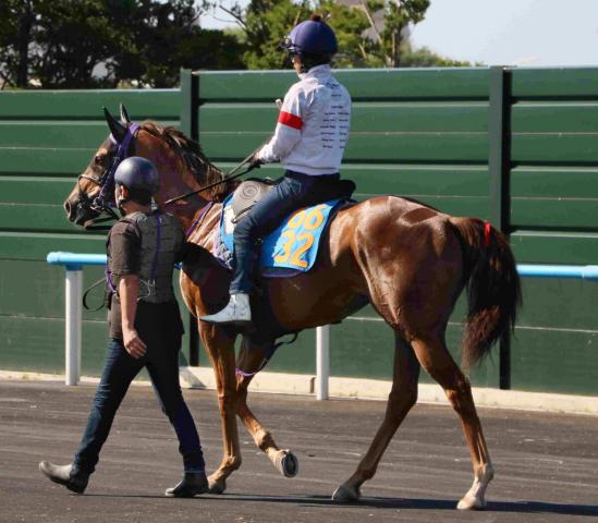 【巴賞】7歳馬ウインシュクランは追うごとに上昇　松岡正海騎手「乗り込んで体が絞れてきた」