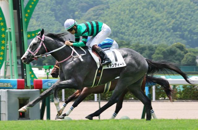 【注目馬動向】小倉で新馬勝ちのキャンディードは中京2歳S　大沼S2着のダンテバローズはマリーンSへ
