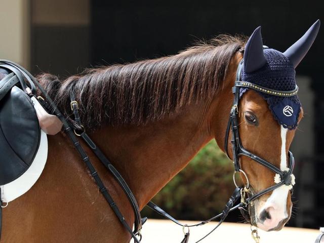 11日、13日に三木ホースランドパークで「引退競走馬杯」 重賞・オープンでの活躍馬も数多く出場