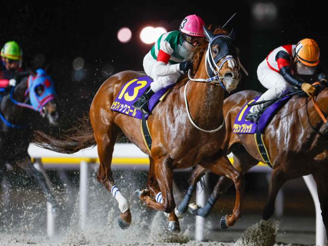 【有力馬動向】広い盛岡なら…セラフィックコール陣営が反撃へ自信/馬三郎のつぶやき