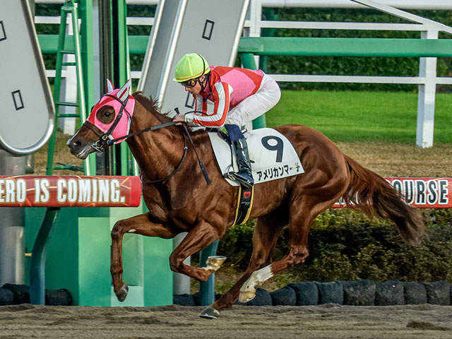 【釜山S】逃げ馬が好成績 穴でも狙いたい血統は？