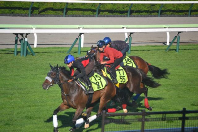 【函館2歳S・1週前追い切り】カイショー快調!池添「馬の後ろにつけて調教しています」