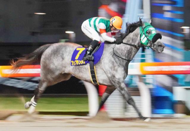 【スパーキングLC】Jpn1馬のアンモシエラは直線伸びず5着　横山武史騎手「夏バテの影響かなと思います」