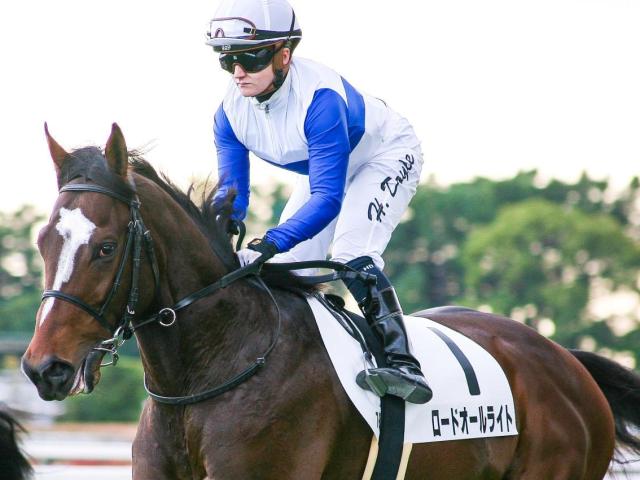 ダノンスマッシュ半弟ロードオールライト 芝2600mで連勝なるか