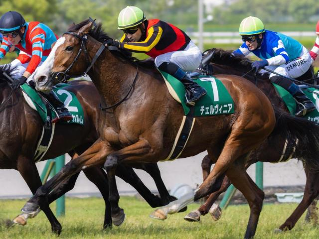 半姉はGI・2勝のチェルヴィニア チェルヴァーラがデビュー勝ち狙う