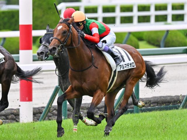 【北斗特別】半兄は名馬キタサンブラック アルマデオロが連勝なるか
