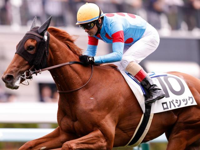 半兄は有馬記念覇者ブラストワンピース ロパシックが約1年ぶりの復帰戦Vなるか