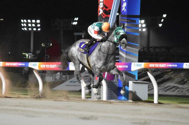 【川崎11R・スパーキングレディーカップ】フェブランシェ　早め押し切りダートグレード初制覇
