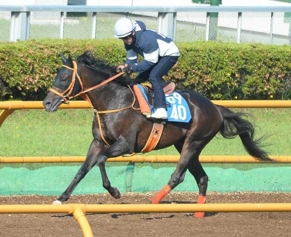 【巴賞】ケイアイセナ　藤岡で逃走Vを　平田師は粘り込み意識「先手さえ取れれば…」