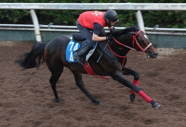 【阿蘇S】ドゥラレジリエント　坂路単走サッと4F53秒4　牧田師は満足げ「いい走りだった」