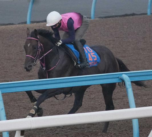 【七夕賞】シリウスコルト　ラスト1F11秒6　田中勝師「気分良く走っていた」