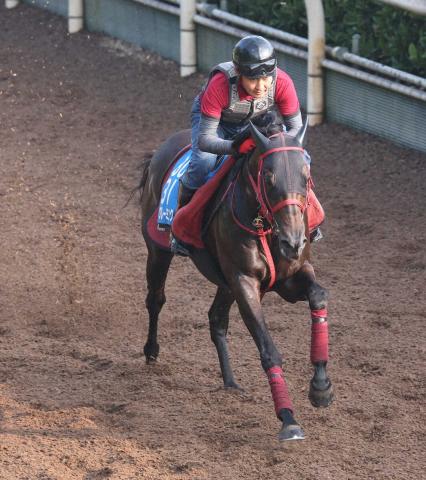【七夕賞】リフレーミング　馬なり坂路4F56秒8　得意舞台で一変期待「力を出し切れれば」