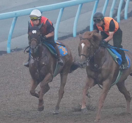 【七夕賞】ニシノレヴナント　軽快な脚さばきで併入　上原博師「気分良く自分の競馬ができれば」