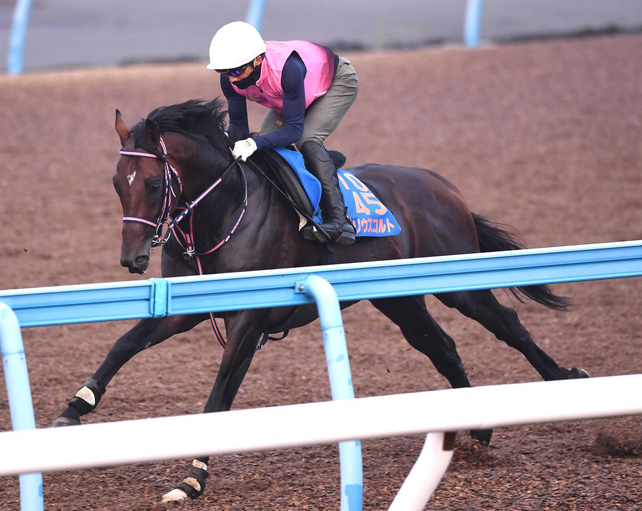 【七夕賞】シリウスコルト３連勝＆重賞連勝へ進化止まらない　田中勝師「トモに幅が出ていい体つきに」