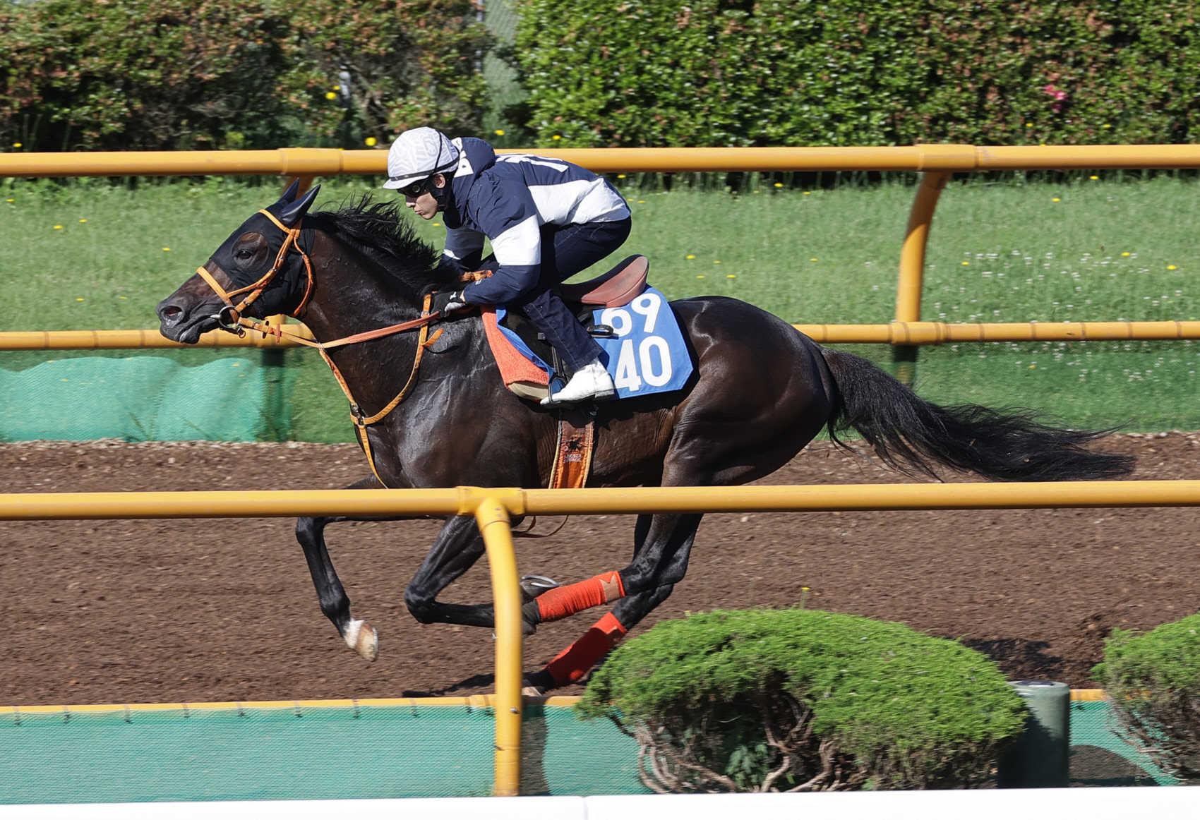 【巴賞】ケイアイセナ　華麗に逃げ切る！生き生きとした動きに藤岡佑「元気の良さを感じましたね」