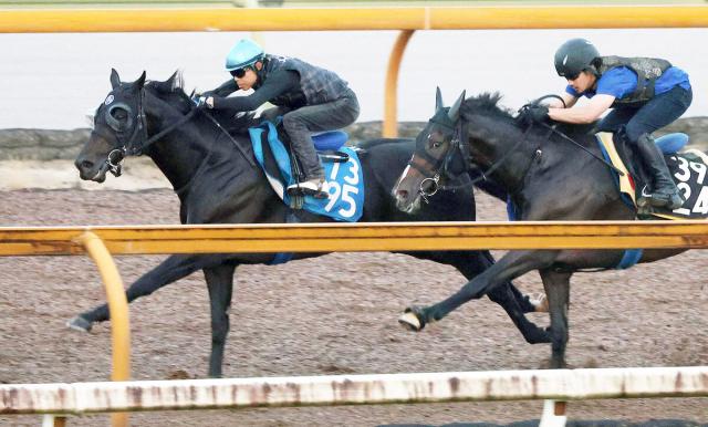【小倉記念・1週前】ディープモンスターは楽々と追走先着　初コンタクトの北村友一騎手「すごく素軽い動き」