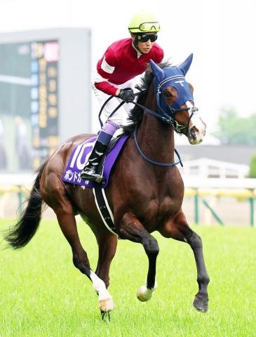 【注目馬動向】ボンドガールはルメール騎手との新コンビで関屋記念へ　手塚久調教師「仕切り直しです」