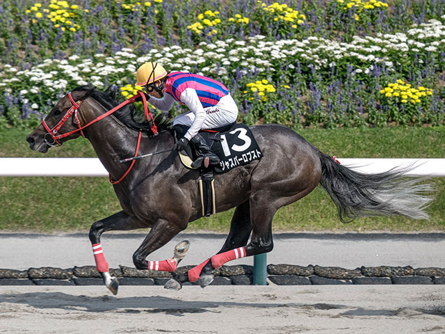 【阿蘇S】近5回は波乱傾向 要注目の血統は