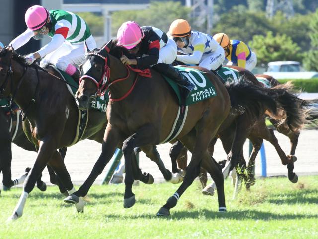 【安達太良S】波乱傾向の一戦 注目は“前走京都組”