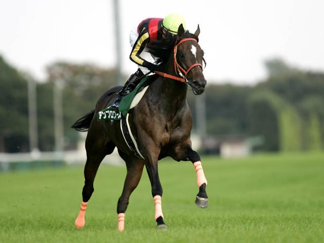 2歳重賞勝ち馬史上最大の馬体減 “-22kg”で制したアンブロワーズの函館2歳S