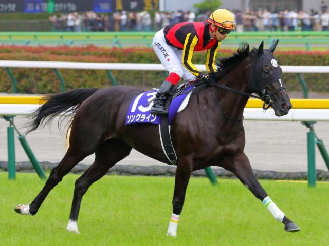 半姉はGI・3勝ソングライン ガードオブオナーが初陣Vなるか